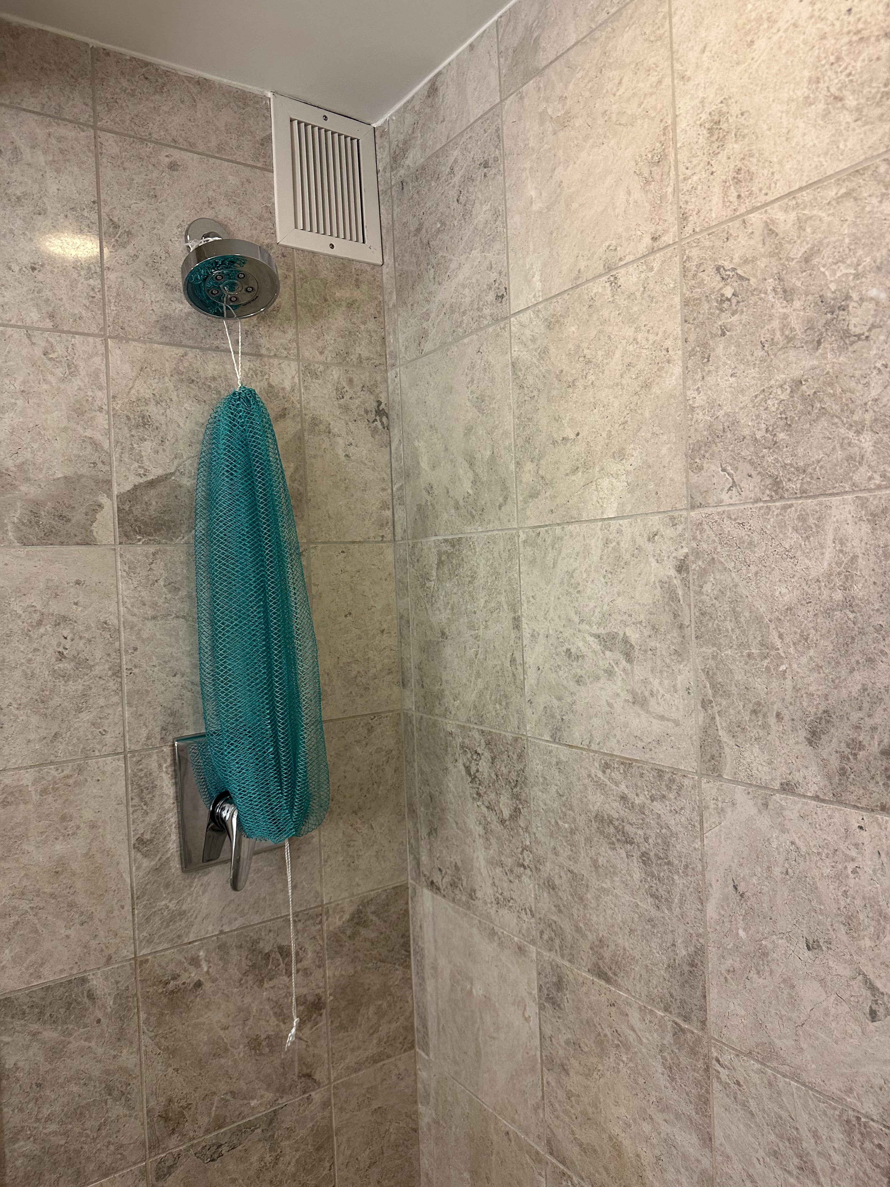 AfroOrganic African Net Sponge